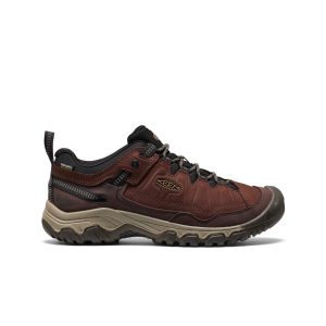 Chaussure de randonnée imperméable Targhee IV pour homme