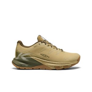 Chaussure de randonnée imperméable Targhee Apex pour homme – Dark Olive/Khaki