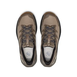 Chaussure de randonnée imperméable Targhee Apex pour homme