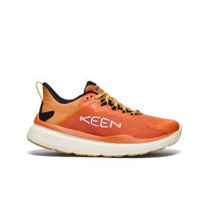 Chaussure de marche pour homme WK450